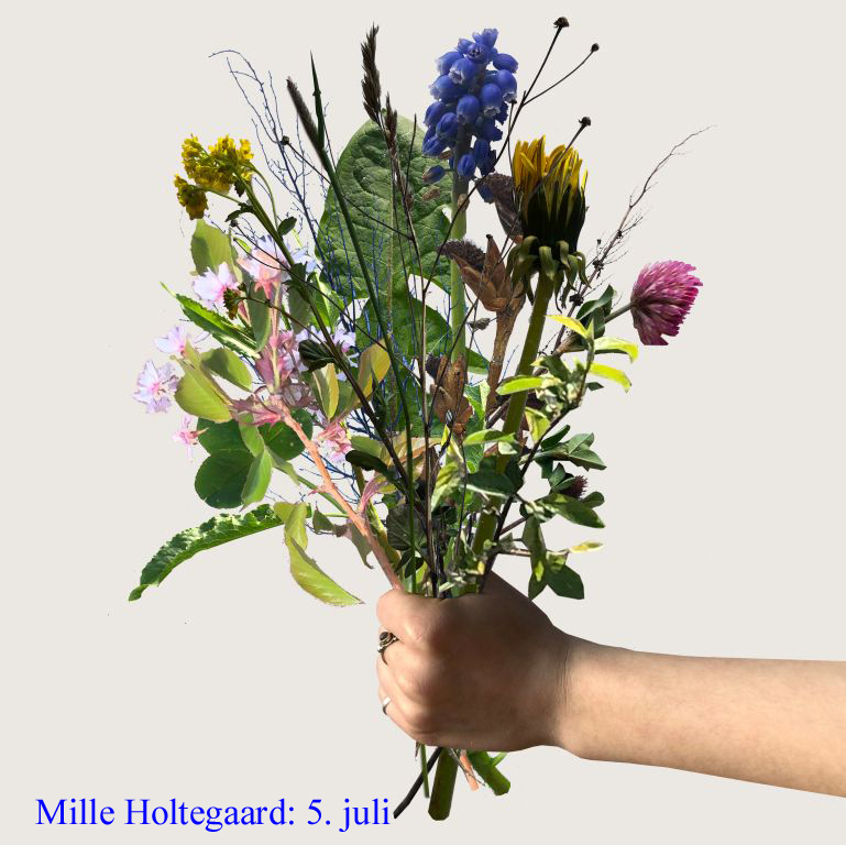 Mille Holtegaard starter sin tur klokken 16 fra Spritten og slutter klokken 4 næste morgen..