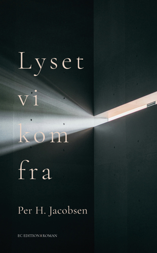 Lyset vi kom fra.jpg